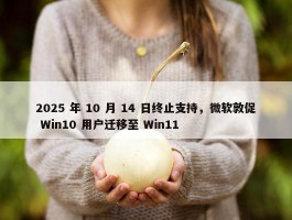 2025 年 10 月 14 日终止支持，微软敦促 Win10 用户迁移至 Win11