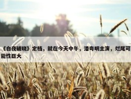 《白夜破晓》定档，就在今天中午，潘粤明主演，烂尾可能性巨大