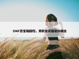 DNF百宝箱回归，男职业武器装扮精选