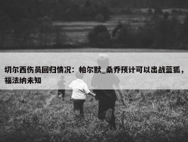 切尔西伤员回归情况：帕尔默_桑乔预计可以出战蓝狐，福法纳未知