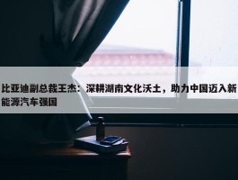 比亚迪副总裁王杰：深耕湖南文化沃土，助力中国迈入新能源汽车强国