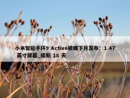 小米智能手环9 Active被曝下月发布：1.47 英寸屏幕_续航 18 天