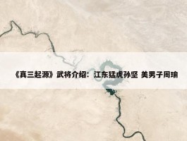 《真三起源》武将介绍：江东猛虎孙坚 美男子周瑜