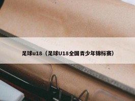 足球u18（足球U18全国青少年锦标赛）