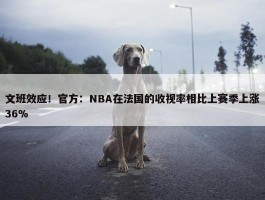 文班效应！官方：NBA在法国的收视率相比上赛季上涨36%