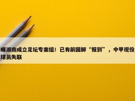 曝湖南成立足坛专案组！已有前国脚“报到”，中甲现役球员失联