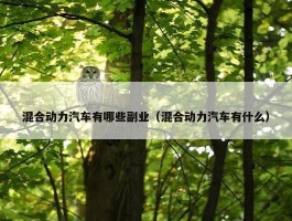 混合动力汽车有哪些副业（混合动力汽车有什么）