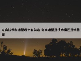 电商技术和运营哪个有前途 电商运营是技术岗还是销售岗