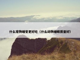 什么宠物睡觉更好吃（什么动物睡眠质量好）