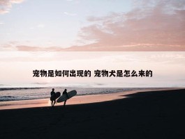 宠物是如何出现的 宠物犬是怎么来的