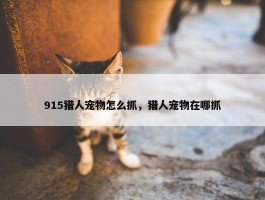 915猎人宠物怎么抓，猎人宠物在哪抓