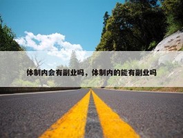 体制内会有副业吗，体制内的能有副业吗