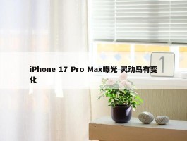 iPhone 17 Pro Max曝光 灵动岛有变化