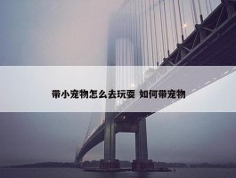 带小宠物怎么去玩耍 如何带宠物