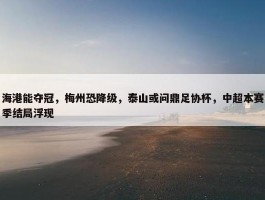 海港能夺冠，梅州恐降级，泰山或问鼎足协杯，中超本赛季结局浮现