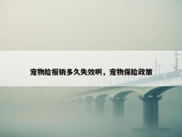 宠物险报销多久失效啊，宠物保险政策