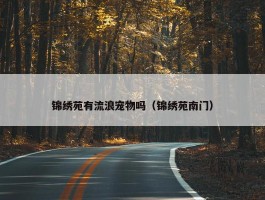 锦绣苑有流浪宠物吗（锦绣苑南门）