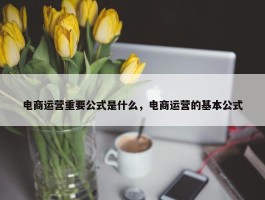 电商运营重要公式是什么，电商运营的基本公式