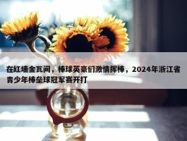 在红墙金瓦间，棒球英豪们激情挥棒，2024年浙江省青少年棒垒球冠军赛开打