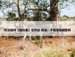 抗日题材《抵抗者》引热议 网友：平稳落地就胜利