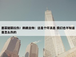 墨菲腿筋拉伤！鹈鹕主帅：这是个坏消息 我们也不知道是怎么伤的