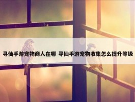 寻仙手游宠物商人在哪 寻仙手游宠物收集怎么提升等级