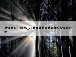 足协官方：2025_26赛季亚冠联赛名额分配原则公布