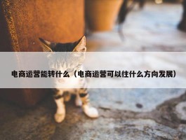 电商运营能转什么（电商运营可以往什么方向发展）