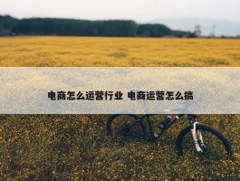 电商怎么运营行业 电商运营怎么搞