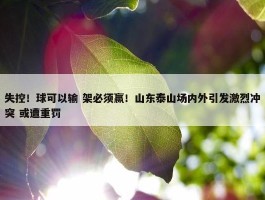 失控！球可以输 架必须赢！山东泰山场内外引发激烈冲突 或遭重罚