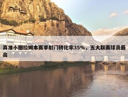 真准小图拉姆本赛季射门转化率35%，五大联赛球员最高