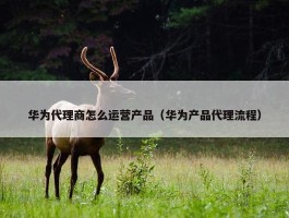 华为代理商怎么运营产品（华为产品代理流程）