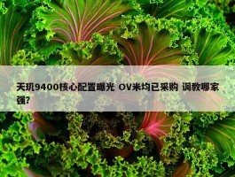 天玑9400核心配置曝光 OV米均已采购 调教哪家强？