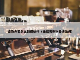 宠物赤狐怎么取得信任（赤狐当宠物养违法吗）