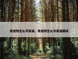 我宠物怎么写英语，我宠物怎么写英语翻译