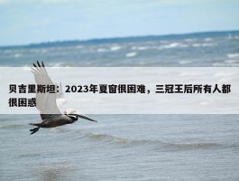 贝吉里斯坦：2023年夏窗很困难，三冠王后所有人都很困惑