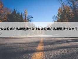 智能照明产品运营是什么（智能照明产品运营是什么岗位）