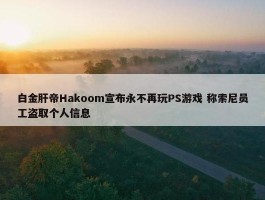 白金肝帝Hakoom宣布永不再玩PS游戏 称索尼员工盗取个人信息