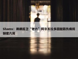 Shams：鹈鹕后卫“老六”阿尔瓦拉多因腿筋伤病将缺席六周