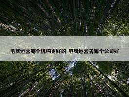 电商运营哪个机构更好的 电商运营去哪个公司好