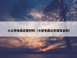 小公司电商运营好吗（小型电商公司值得去吗）