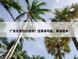 广东无缘热火悍将？还真有可能，黄雀现身