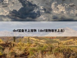 dnf装备不上宠物（dnf宠物带不上去）