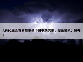 APEC峰会官方用车是中国电动汽车，秘鲁司机：好开！