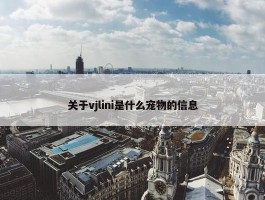 关于vjlini是什么宠物的信息