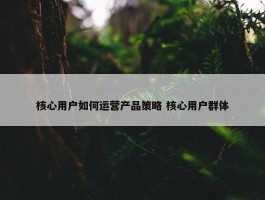 核心用户如何运营产品策略 核心用户群体