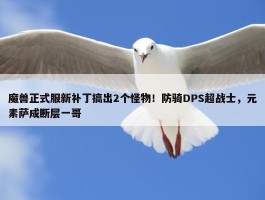 魔兽正式服新补丁搞出2个怪物！防骑DPS超战士，元素萨成断层一哥