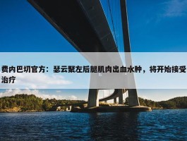 费内巴切官方：瑟云聚左后腿肌肉出血水肿，将开始接受治疗