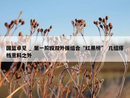 国篮卓见 _ 第一阶段双外援组合“红黑榜” 几组搭档意料之外