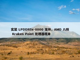 实装 LPDDR5x-8000 支持，AMD 八核 Kraken Point 处理器现身